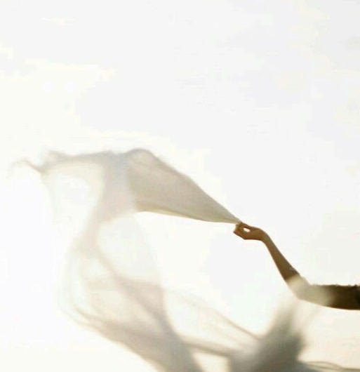 elemento que transmite liberación